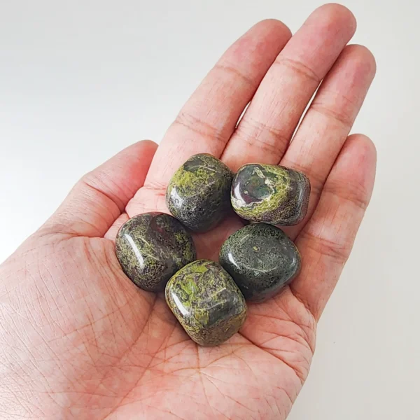 Reconnect with strength and renewal through the Bloodstone Tumbled Stone. Deeply grounding and quietly empowering, it supports vitality, courage, and meaningful transformation.