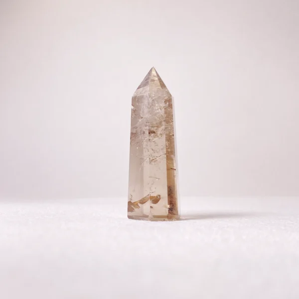 The Smoky Quartz Mini Point is a deeply grounding crystal that supports healing, recovery, and physical vitality. Known for anchoring scattered energy, it strengthens the root chakra while restoring balance during times of exhaustion or instability. Its focused point form gently channels stabilizing energy, making it ideal for recovery, grounding, and rebuilding inner strength.